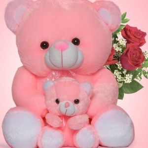 Meet your Posher, Aishu